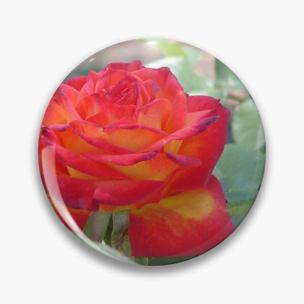 Item preview, Rose on Fire designed and sold by lornakay.