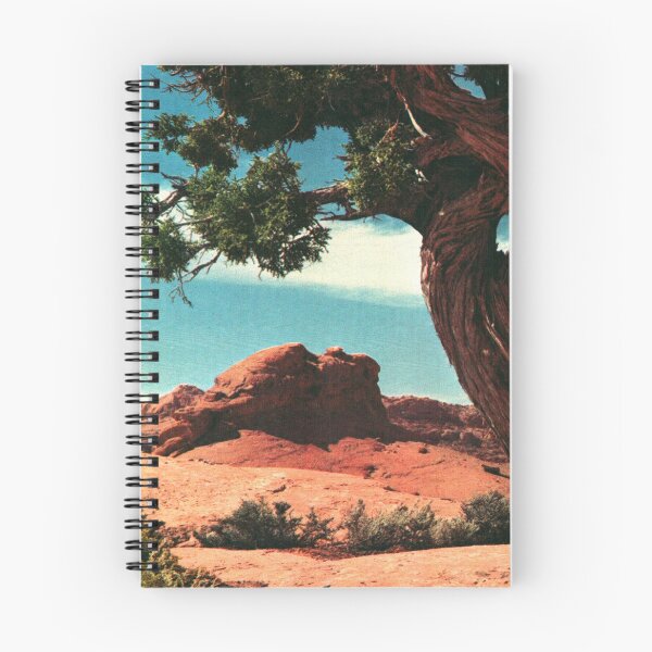 Item preview, Juniper Tree - Vintage Desert Photography designed and sold by elevens.