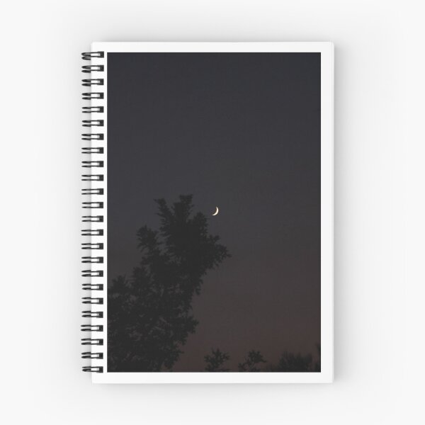Item preview, MoonLight walk designed and sold by Daniel  V..