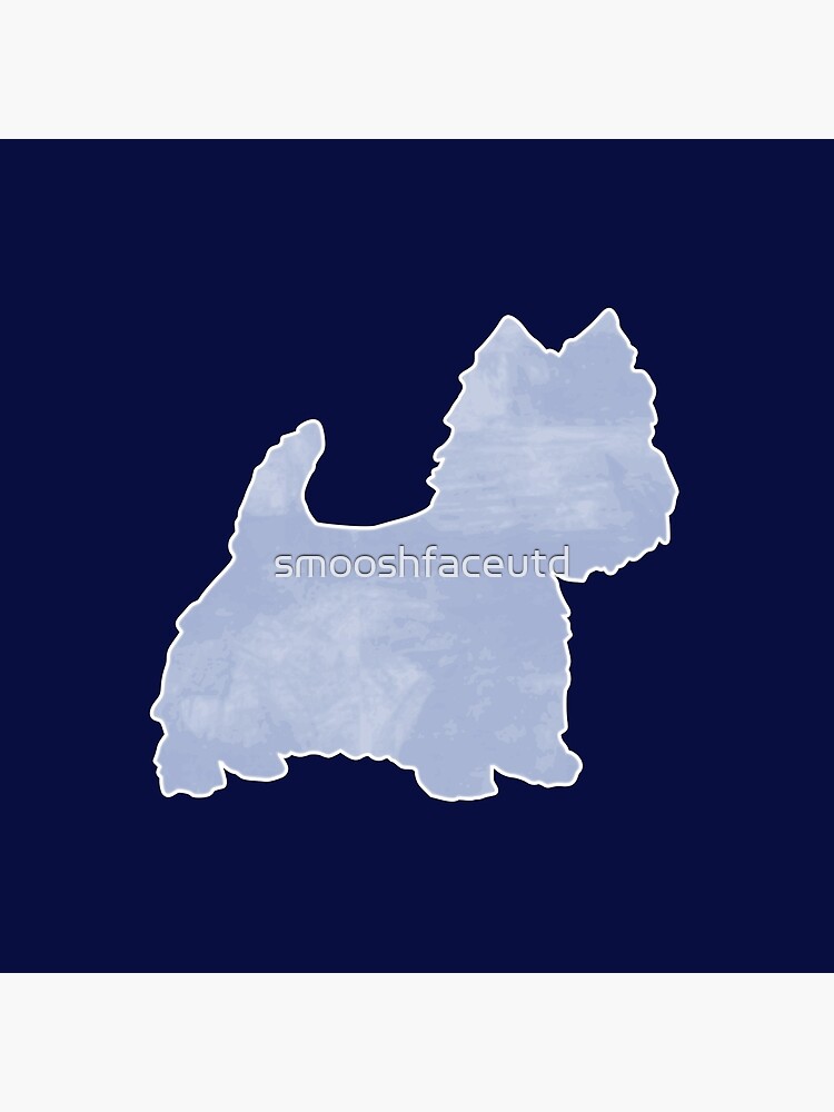 westie and cairn terrier