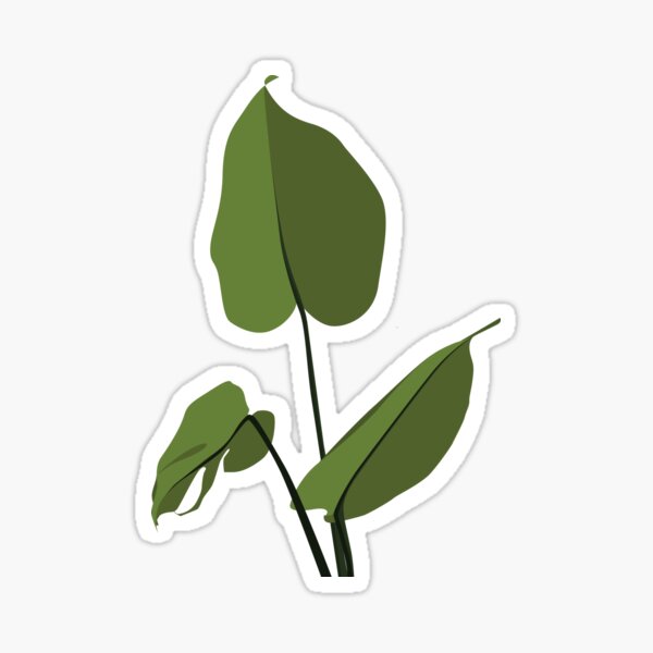 Monstera plant leefs Sticker