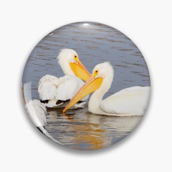Item preview, White Pelicans Circling designed and sold by Cynthia48.