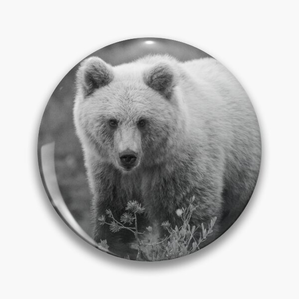 Item preview, European Brown Bear designed and sold by Richard Greenwood.