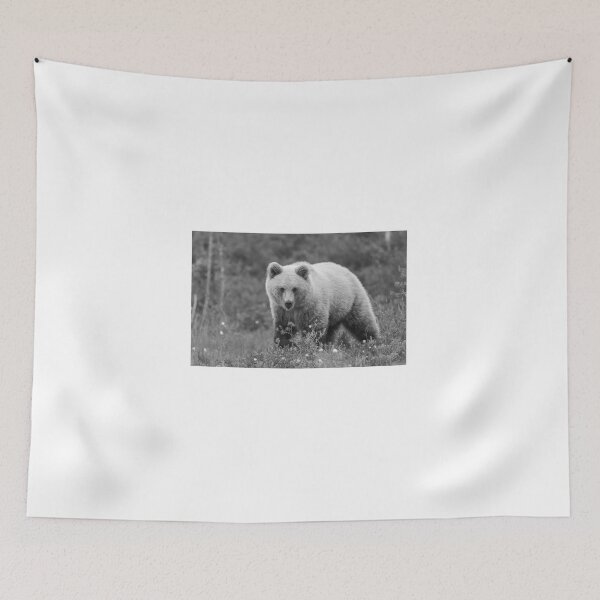 Item preview, European Brown Bear designed and sold by Richard Greenwood.