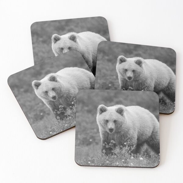 Item preview, European Brown Bear designed and sold by Richard Greenwood.