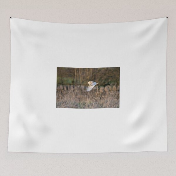 Item preview, Barn Owl designed and sold by Richard Greenwood.