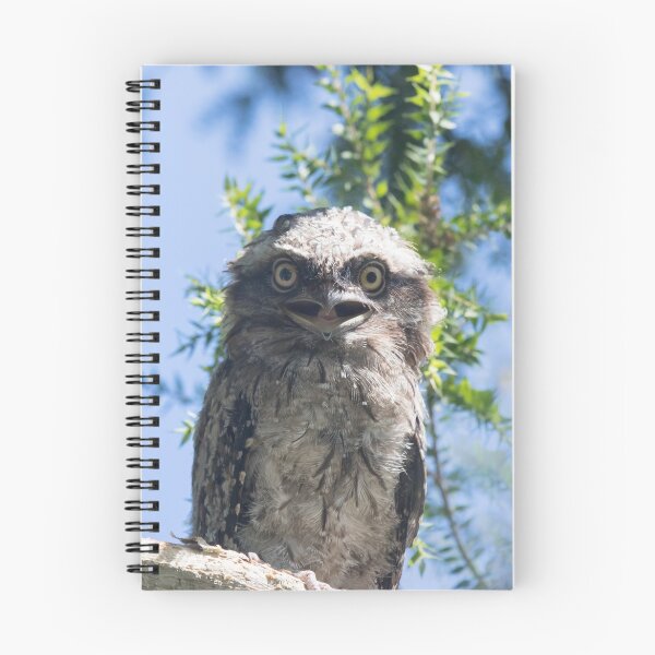 Item preview, Newly Fledged designed and sold by byronbackyard.