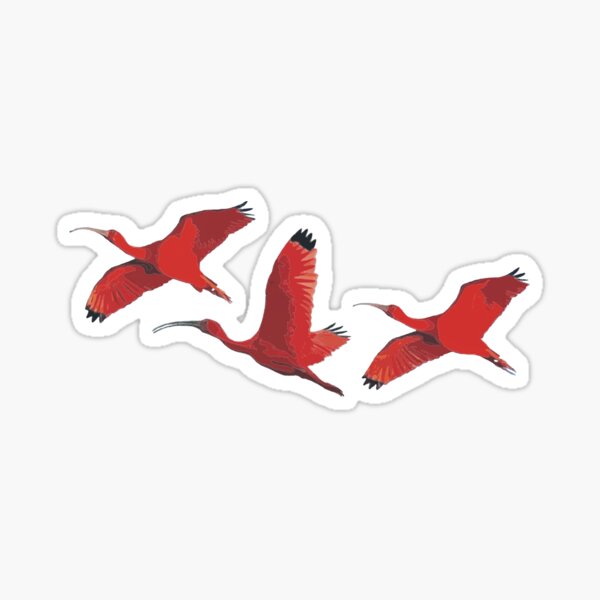 Item preview, Scarlet Ibis designed and sold by santimanitay.