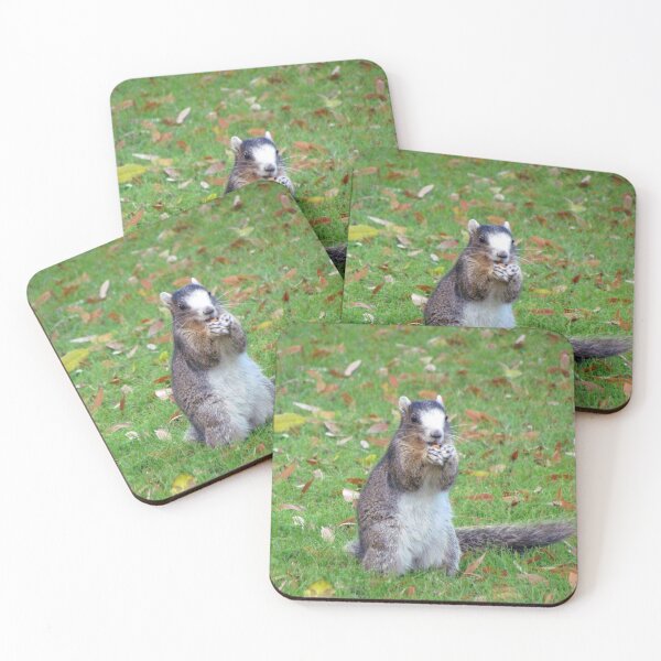 Item preview, Fox Squirrel designed and sold by Cynthia48.