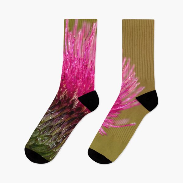 Item preview, Plume Thistle, Scottish Borders designed and sold by yourscotborders.