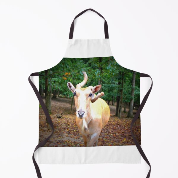 Item preview, Cuteness Overload designed and sold by Cynthia48.
