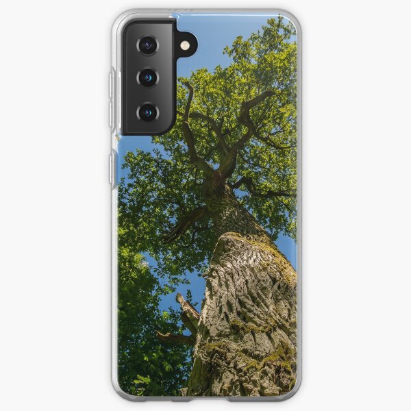 One of nature's majesties, the old oak Samsung Galaxy Soft Case
