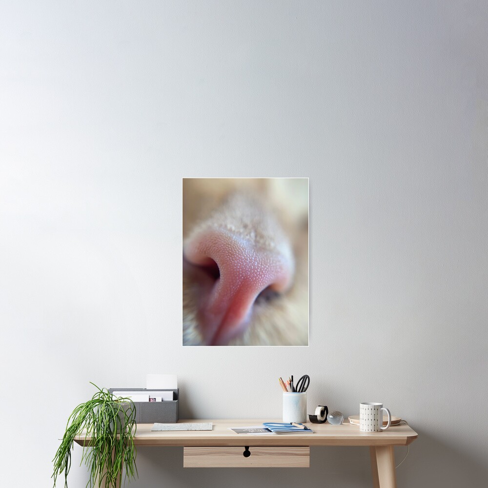 Item preview, Poster designed and sold by knockoutkitten.