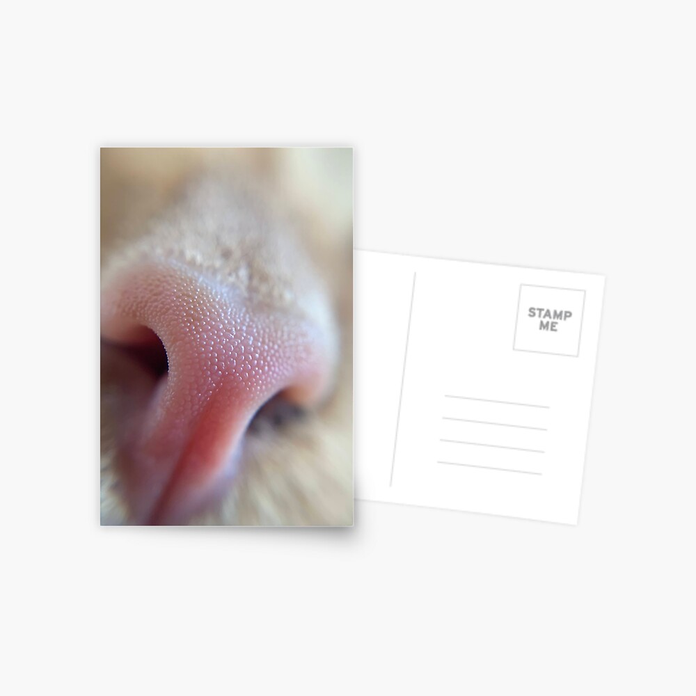 Item preview, Postcard designed and sold by knockoutkitten.