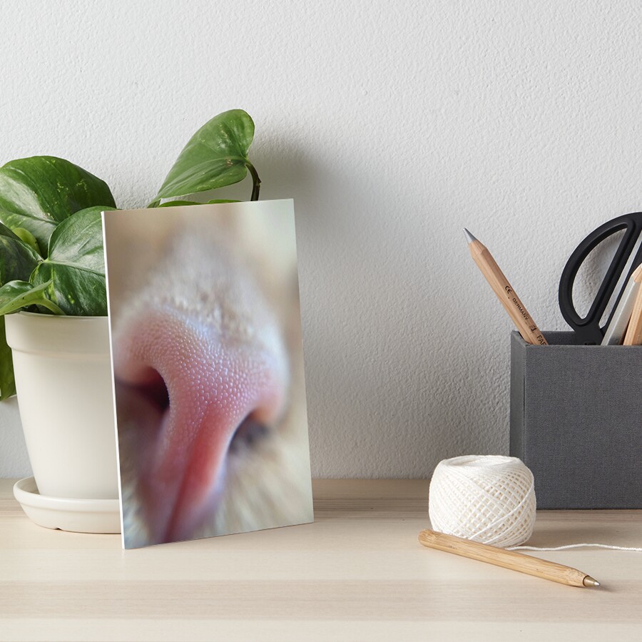 Item preview, Art Board Print designed and sold by knockoutkitten.