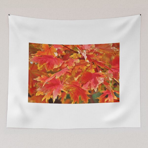 Item preview, Autumn Leaves designed and sold by Cynthia48.