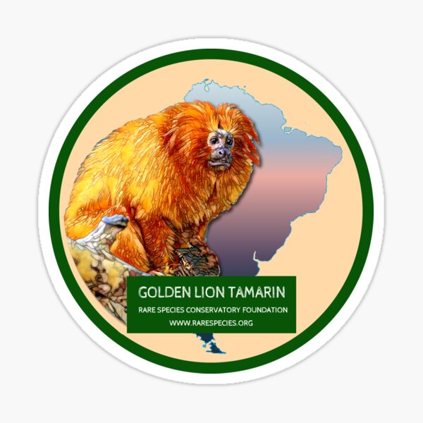 Golden Lion Tamarin Sticker