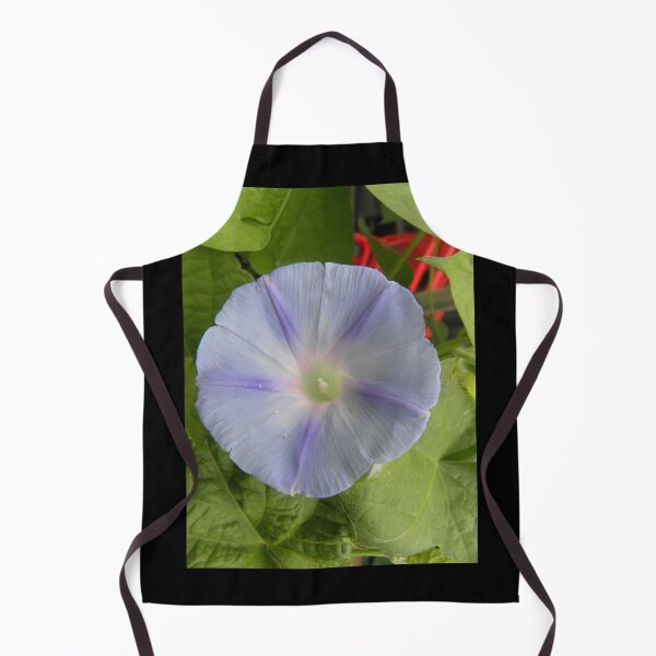 Artikelvorschau, Hellblauer Morning Glory entworfen und verkauft von OrangeEden.