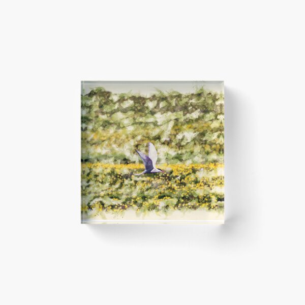 Item preview, Arctic Tern Surfing on the Flowers Watercolor designed and sold by lugamor.