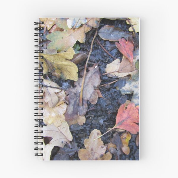 Item preview, Autumnal colours designed and sold by joshuarainbird.