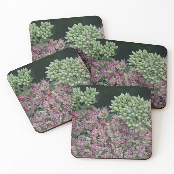 Item preview, A close Look at Sedum designed and sold by Gerda Grice Photography.