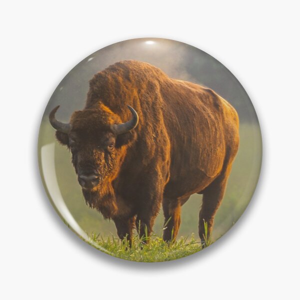 Item preview, Wisent or european bison steaming in the morning light designed and sold by Poliphilo.