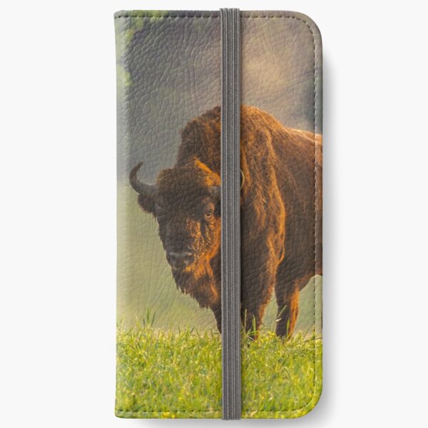 Wisent or european bison steaming in the morning light iPhone Wallet