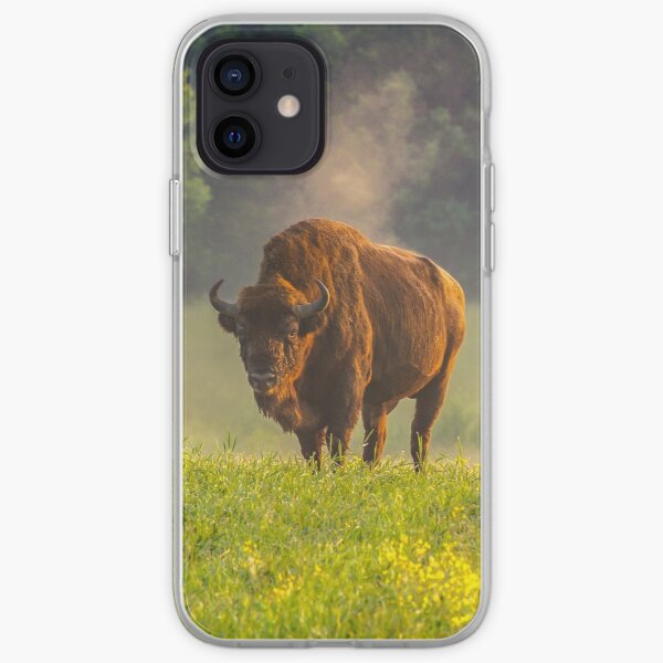 Wisent or european bison steaming in the morning light iPhone Soft Case