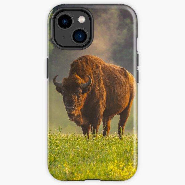 Wisent or european bison steaming in the morning light iPhone Tough Case