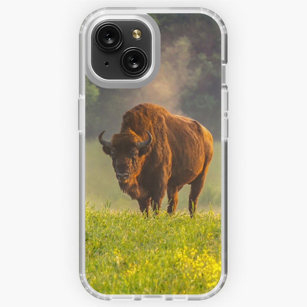 Item preview, iPhone Soft Case designed and sold by Poliphilo.