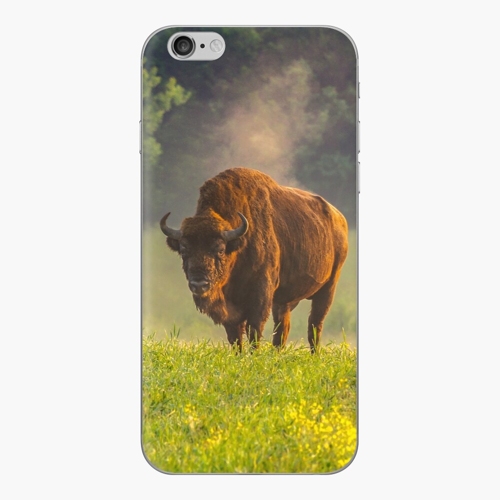 Item preview, iPhone Skin designed and sold by Poliphilo.