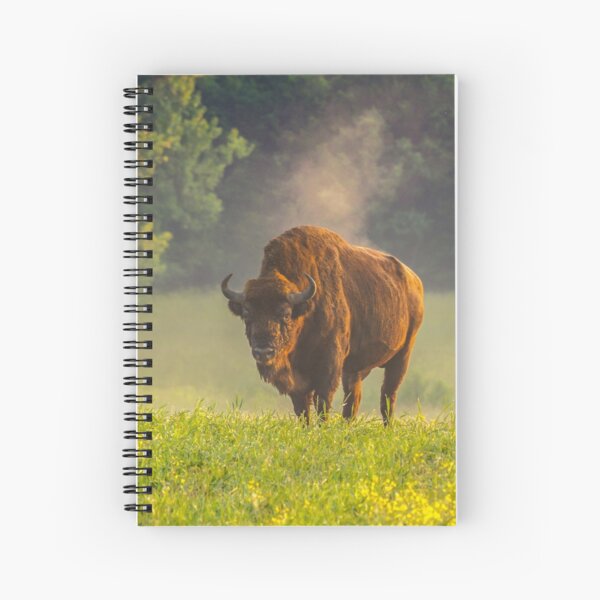 Wisent or european bison steaming in the morning light Spiral Notebook