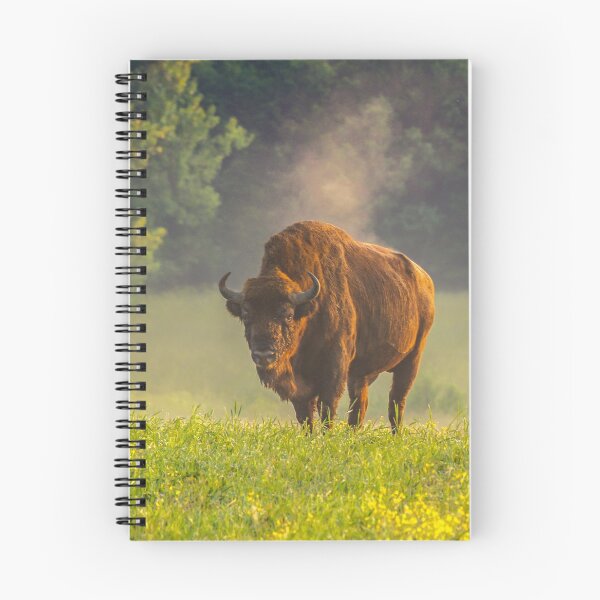 Item preview, Wisent or european bison steaming in the morning light designed and sold by Poliphilo.