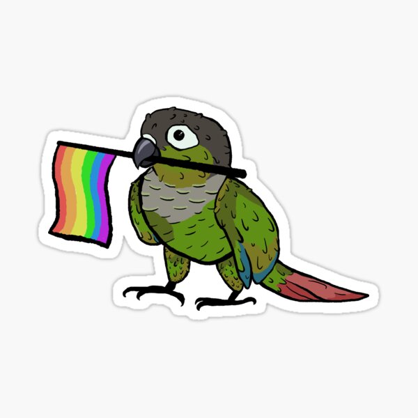 rainbow green cheek conure