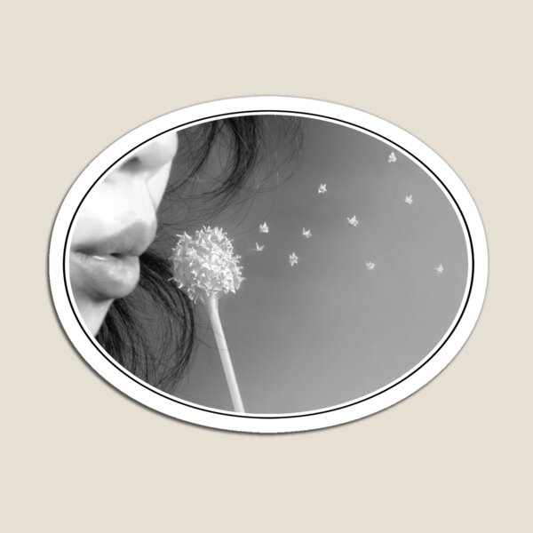 Wish Magnet