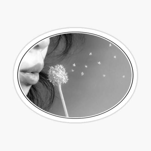 Wish Sticker