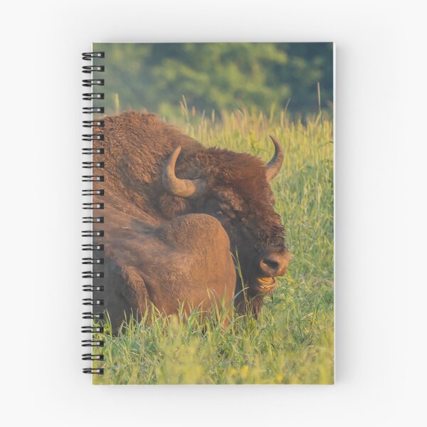 Item preview, Laughing european bison, also known as wisent designed and sold by Poliphilo.