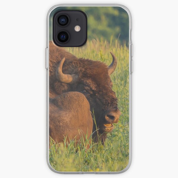 Laughing european bison, also known as wisent iPhone Soft Case