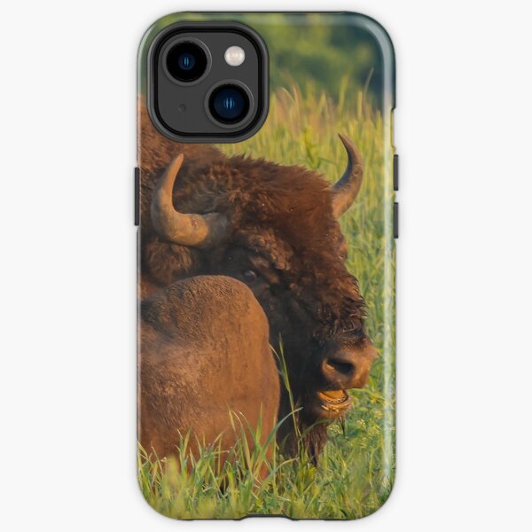 Laughing european bison, also known as wisent iPhone Tough Case