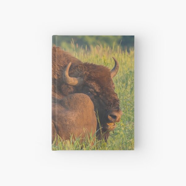 Laughing european bison, also known as wisent Hardcover Journal