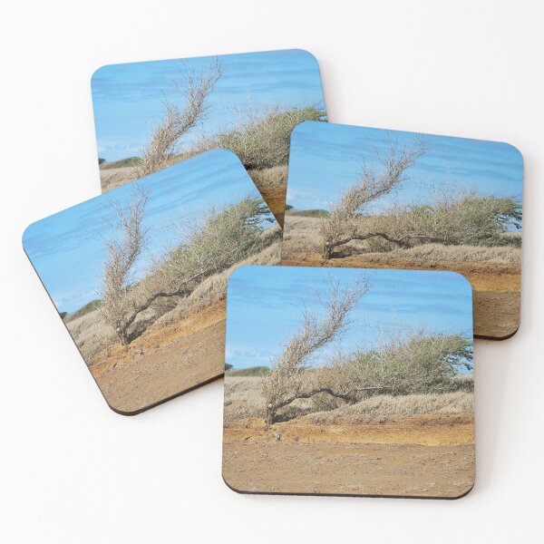 Item preview, Windswept tree on South Point Road in Hawaii designed and sold by TheMurphyGirl.