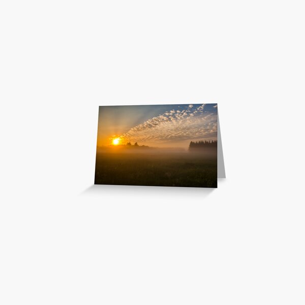 Meteor like sunrise near old forest Greeting Card