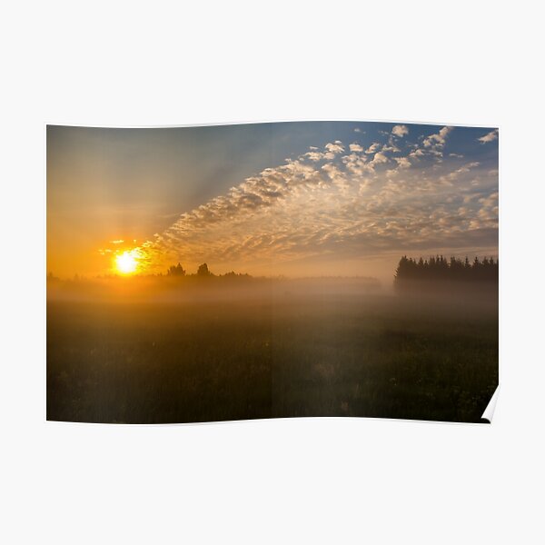 Meteor like sunrise near old forest Poster