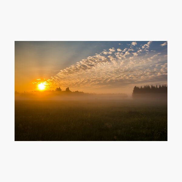 Meteor like sunrise near old forest Photographic Print