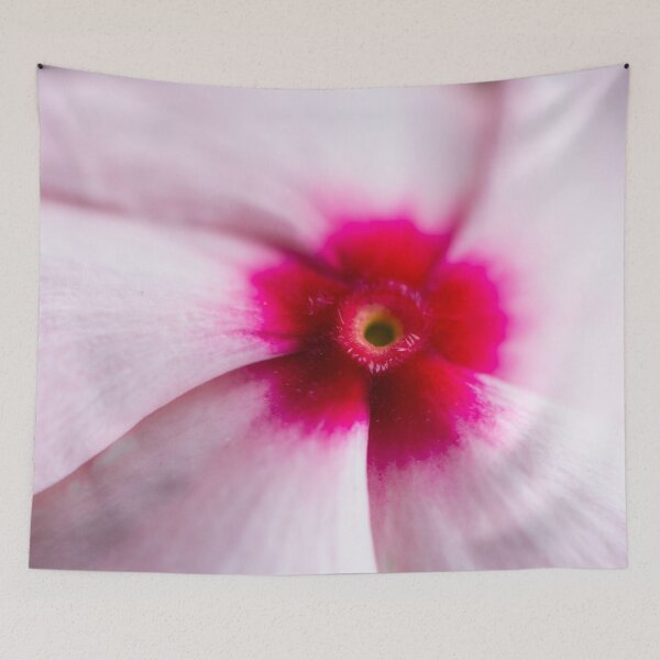Item preview, Close up view of a pink, red and purple flower designed and sold by brambillasimone.
