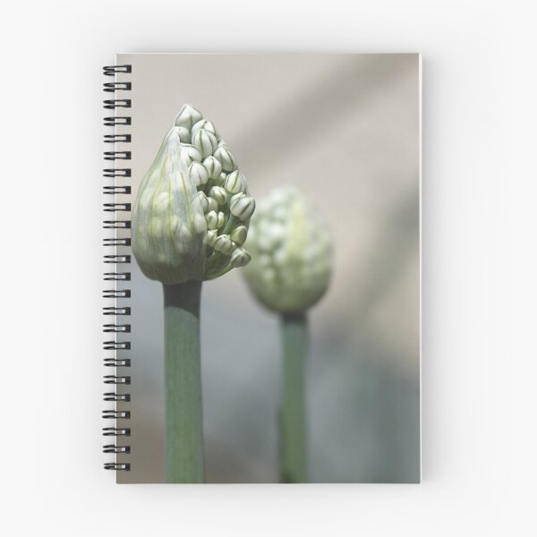 Item preview, Opening Day designed and sold by stephenralph.