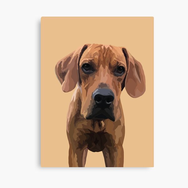 Boone Canvas Print