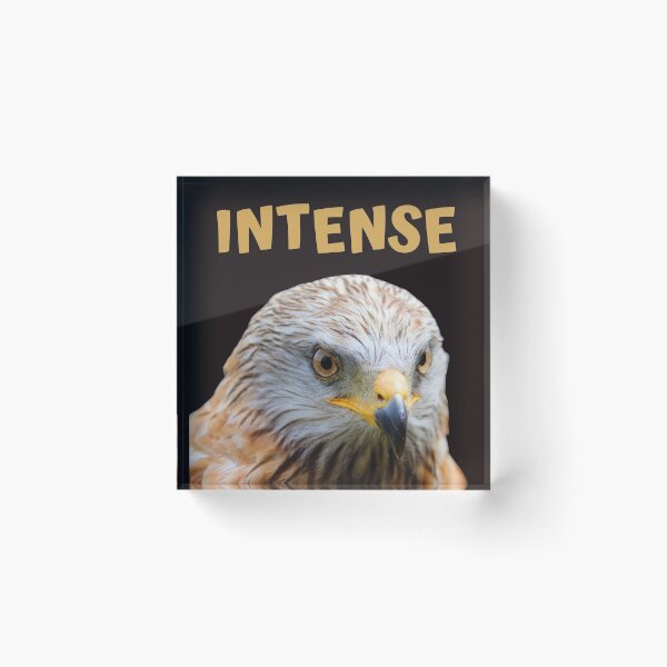 Item preview, LIFE SHOULD BE LIVED INTENSE designed and sold by jreiter57.