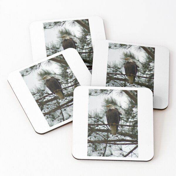 Item preview, Bald Eagle protecting nest designed and sold by scottyp143.