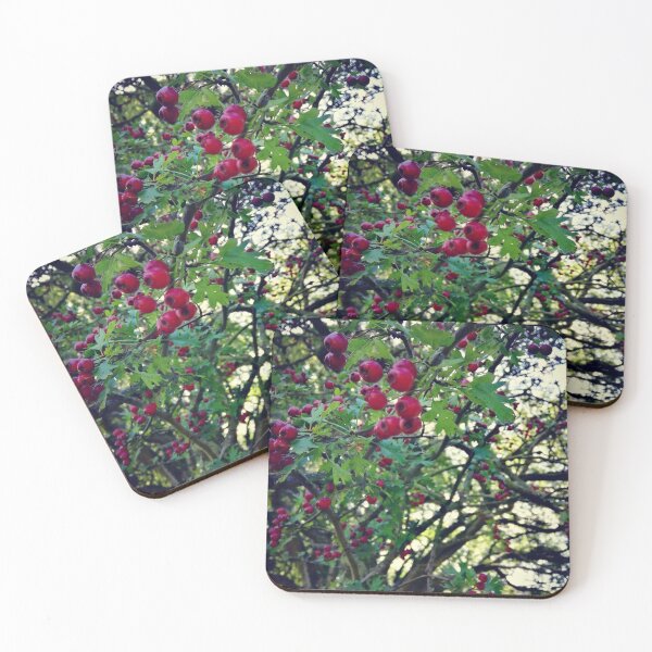Item preview, Red berries designed and sold by Sarah-Wilde.